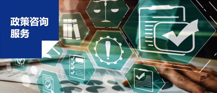 政策咨詢(xún)服務(wù)